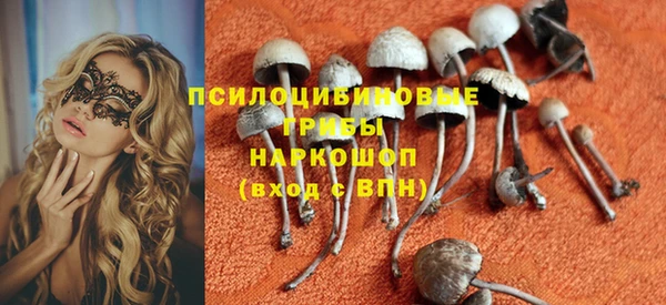 PSILOCYBIN Балахна
