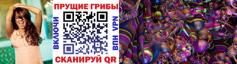 Галлюциногенные грибы прущие грибы  Новая Ладога 